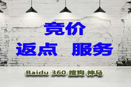 行业内的SEM竞价策略与效果对比案例